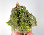 Pyromorphite Mineral